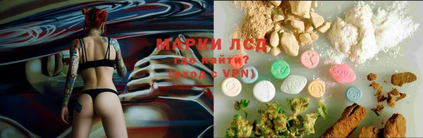 спиды Володарск