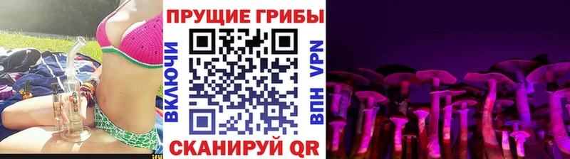 цена наркотик  Жигулёвск  hydra ССЫЛКА  Псилоцибиновые грибы ЛСД 